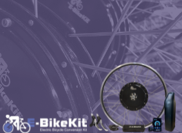 Why You Should Electrify Your Bike or Trike