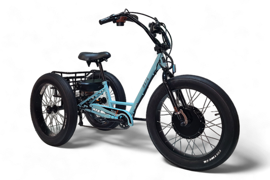 Baja Trike Conversion System