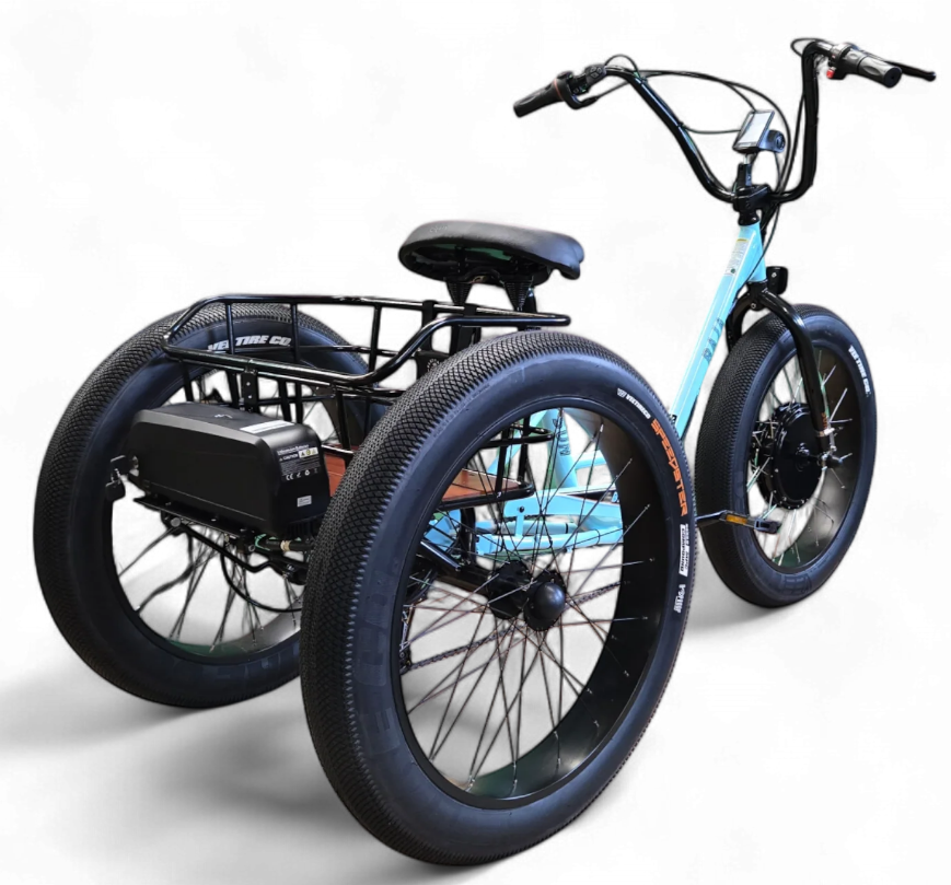 Baja Trike Conversion System