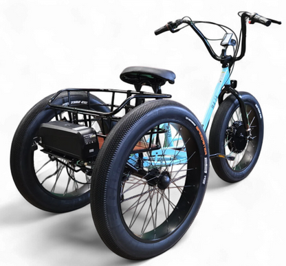 Baja Trike Conversion System